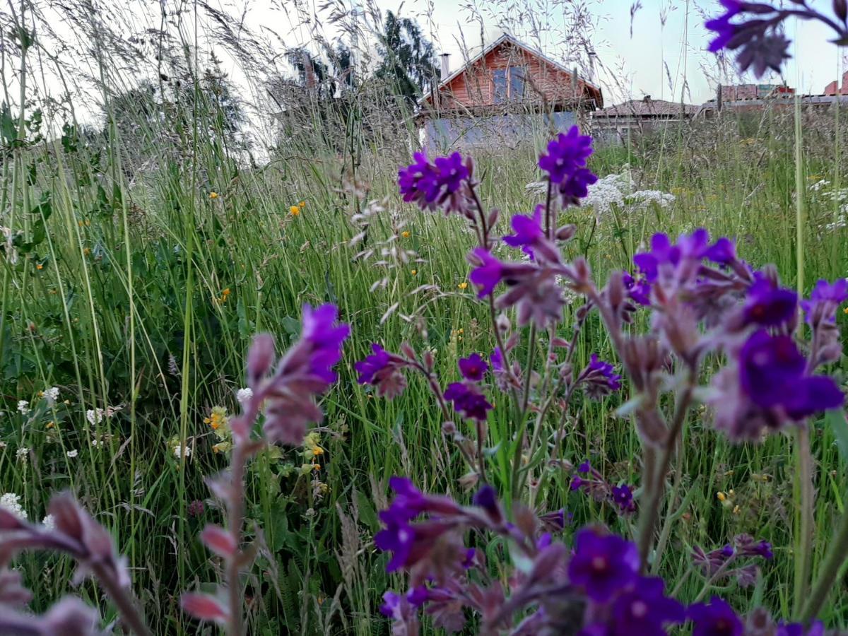Вила Орцево Vila Ortsevo Buitenkant foto