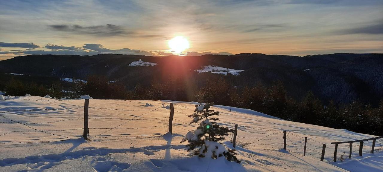 Вила Орцево Vila Ortsevo Buitenkant foto