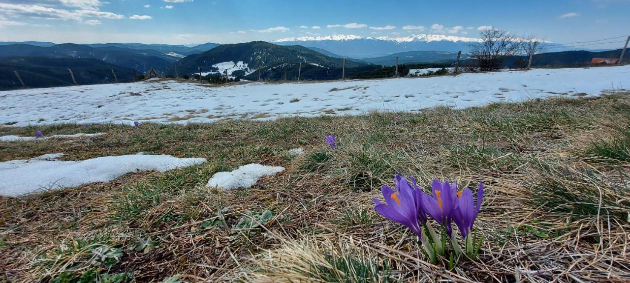 Вила Орцево Vila Ortsevo Buitenkant foto