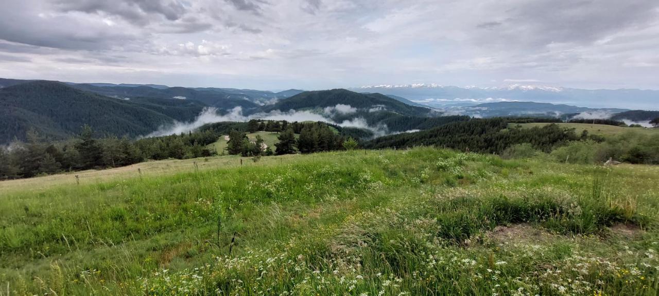 Вила Орцево Vila Ortsevo Buitenkant foto
