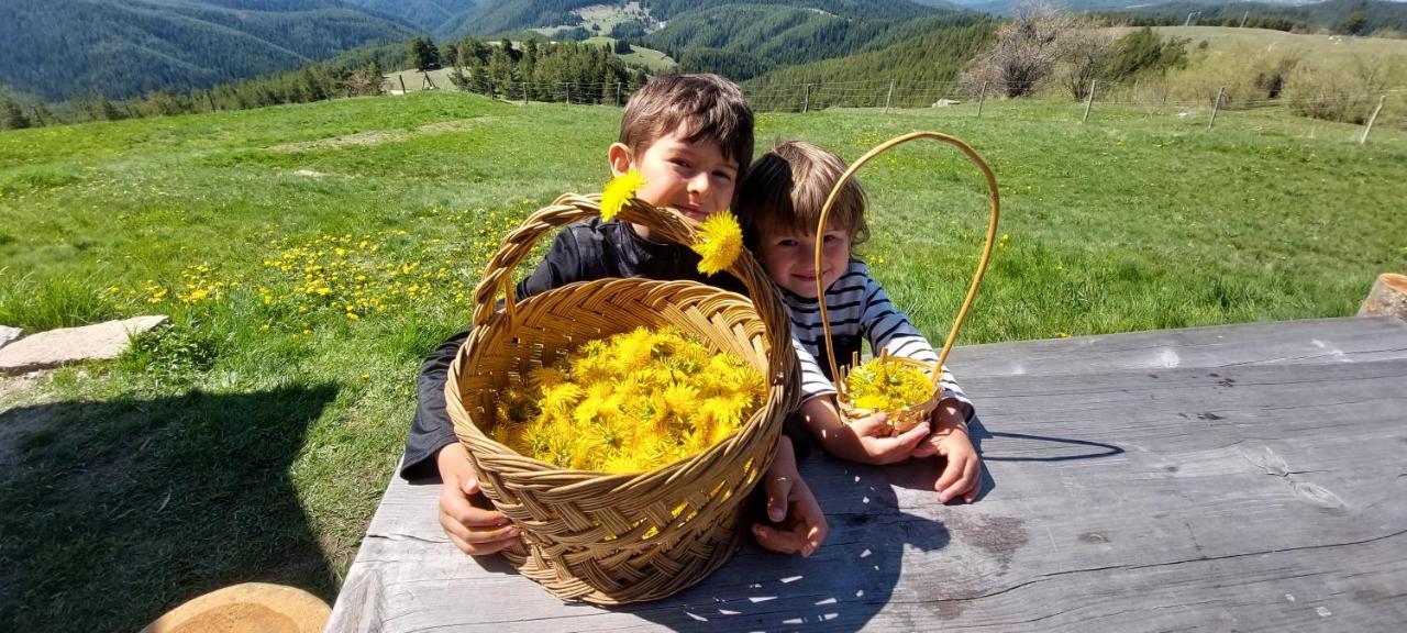 Вила Орцево Vila Ortsevo Buitenkant foto