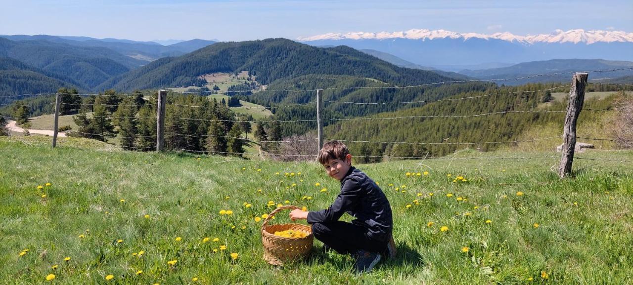 Вила Орцево Vila Ortsevo Buitenkant foto