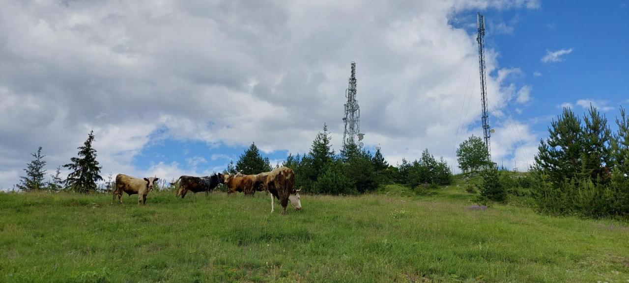Вила Орцево Vila Ortsevo Buitenkant foto