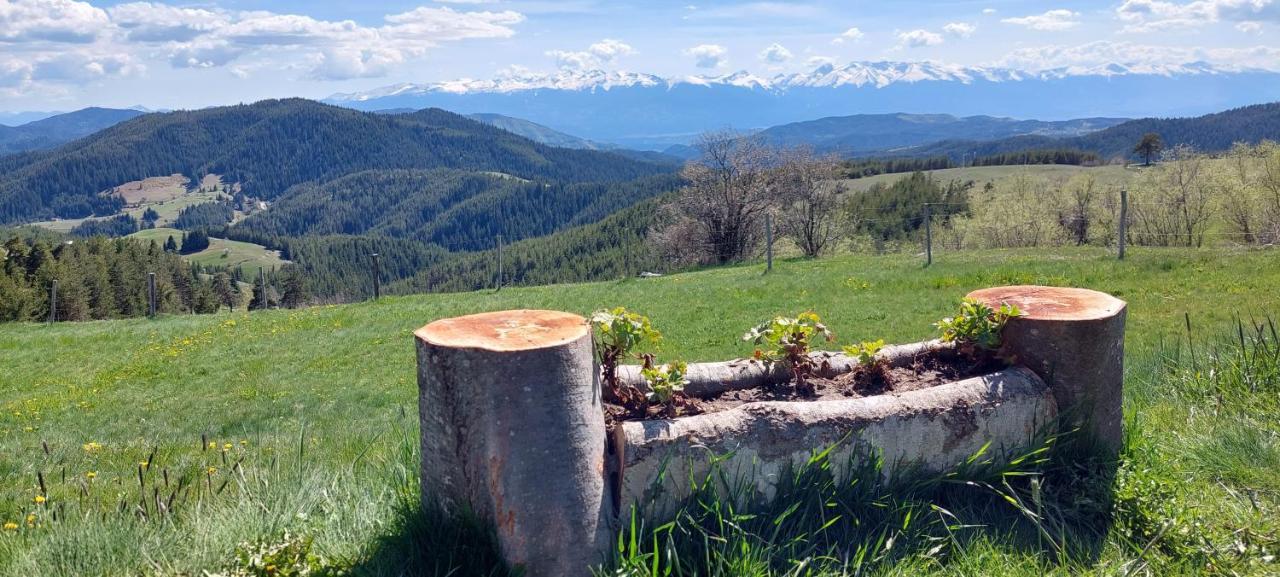 Вила Орцево Vila Ortsevo Buitenkant foto