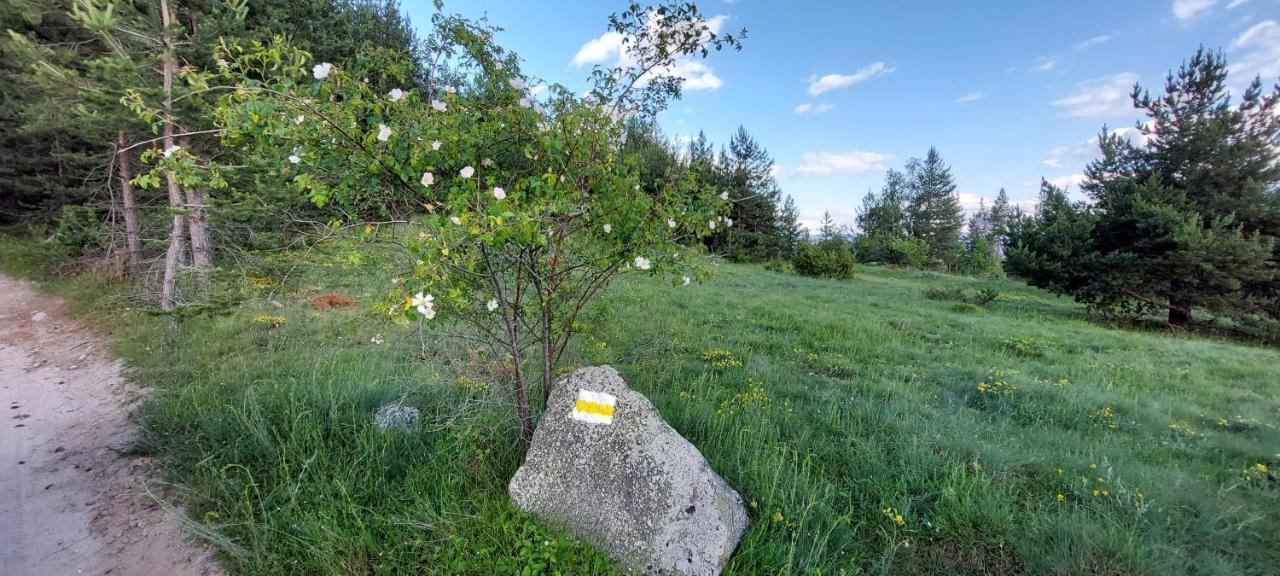 Вила Орцево Vila Ortsevo Buitenkant foto
