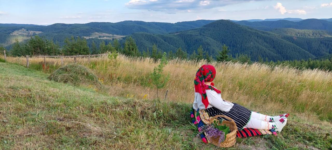 Вила Орцево Vila Ortsevo Buitenkant foto